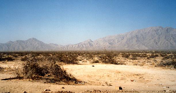 istock Desert landscape in Baja California, Mexico 624371866