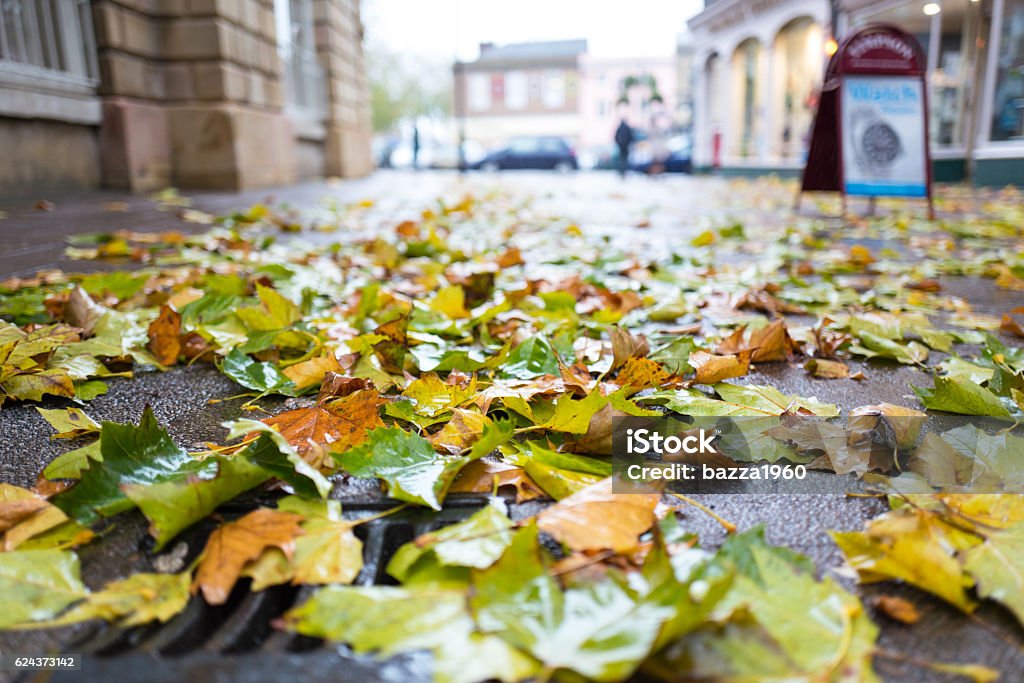 Fallen leaves. Fallen leaves, Bury St Edmunds High Street. Bury St Edmunds Stock Photo