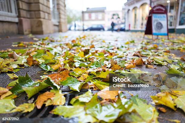 Fallen Leaves Stock Photo - Download Image Now - Bury St Edmunds, Autumn, Building Exterior