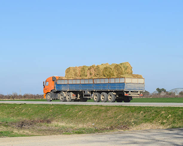 istock Truck carrying hay in his body 624373232