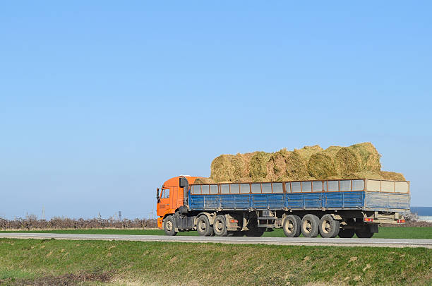 istock Truck carrying hay in his body 624373322