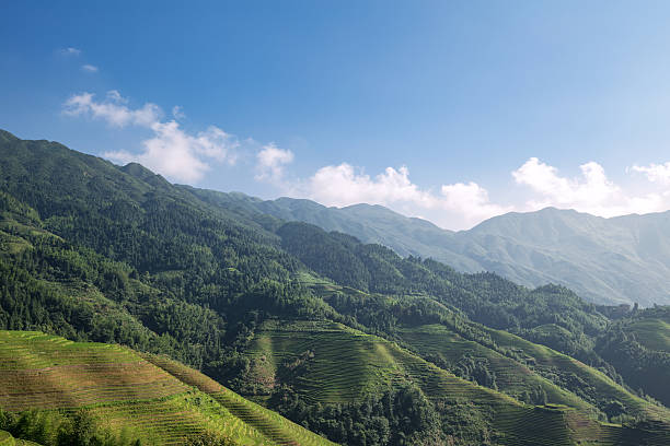 terraced fields terraced fields longji tetian stock pictures, royalty-free photos & images