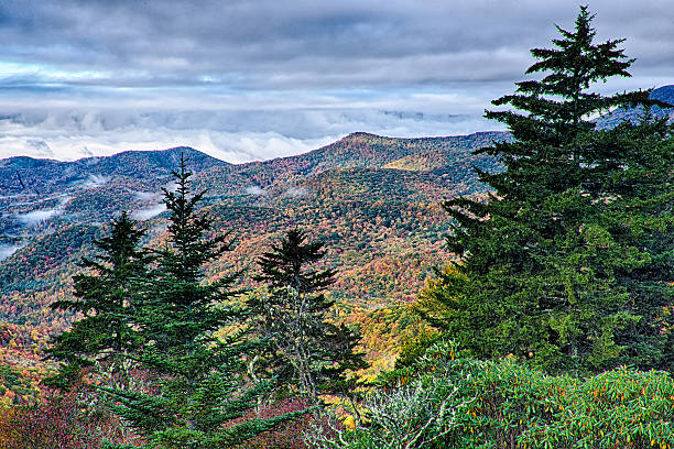 istock autumn foliage on blue ridge parkway 624375300