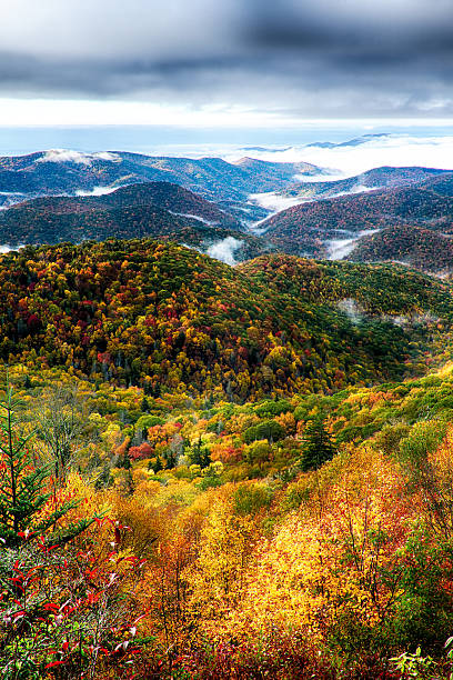 herbstlaub auf dem blauen gratpark - wnc stock-fotos und bilder