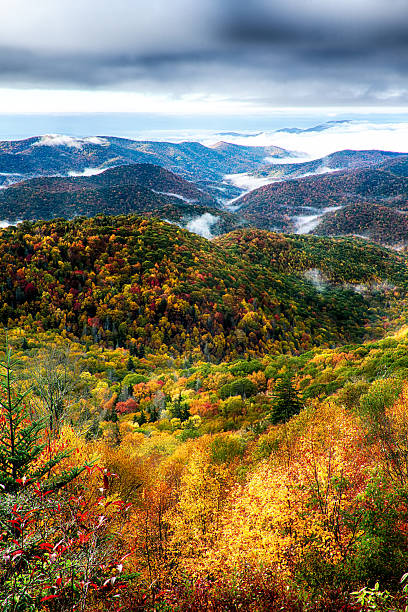 follaje de otoño en blue ridge parkway - blue ridge mountains north carolina mountain range ridge fotografías e imágenes de stock