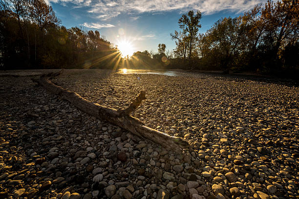 Boise river log on shore gravel sunrise