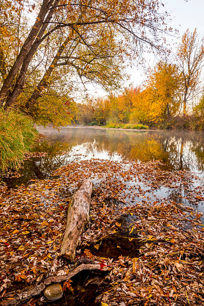 istock Fall painted colors surround the Boise River 624391388