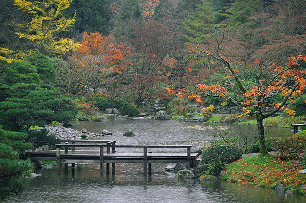 istock Fall Colors in Seattle Japanese Garden 624391928