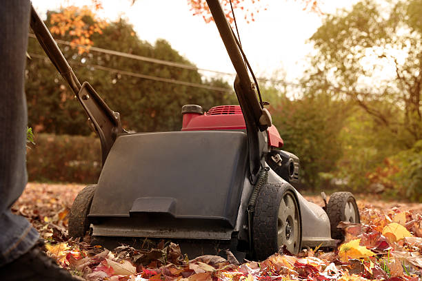 istock Man  collecting  old autumn leaves by Lawn Mover 624392352