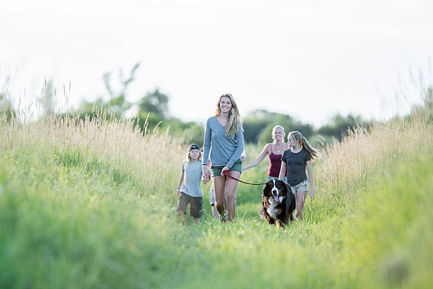 犬を散歩に連れて行く - horizontal dog nature outdoors ストックフォトと画像