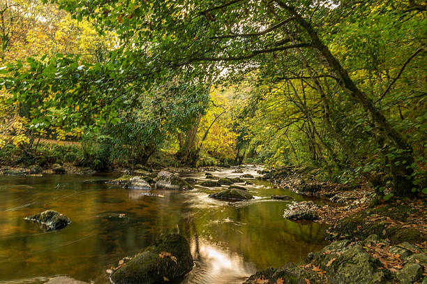 istock Landscape Depicting the River Teign on Dartmoor National Park 624404062