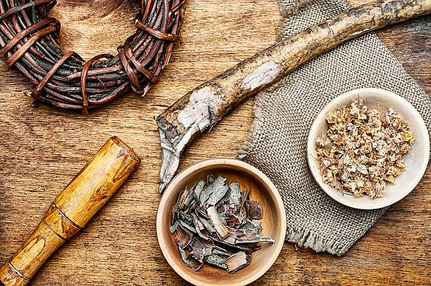 istock Healing root of elecampane 624404180