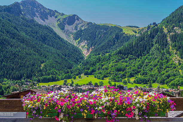 Mountain panorama with flowerpot in Courmayeur (Aosta, Italy) stock photo