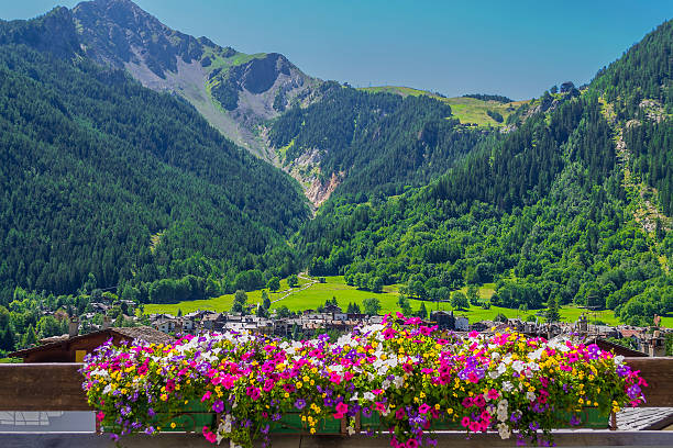 panorama da montanha com vaso de flores em courmayeur (aosta, itália) - courmayeur european alps mont blanc mountain - fotografias e filmes do acervo