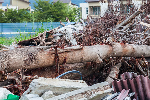 istock Junk site indicating disaster like tsunami, earthquake,tornado or typhoon 624408518