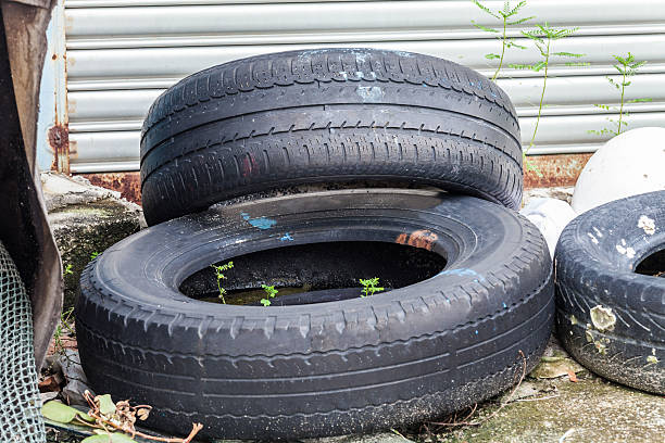 istock Old tire indicating breeding ground for mosquito 624409830
