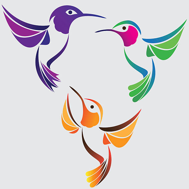ilustraciones, imágenes clip art, dibujos animados e iconos de stock de estilizadas colibríes juego - canturrear
