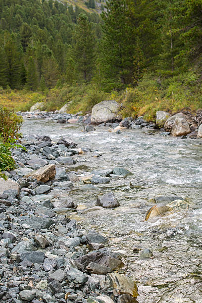 istock River in the Altai mountains, Russia 624411944