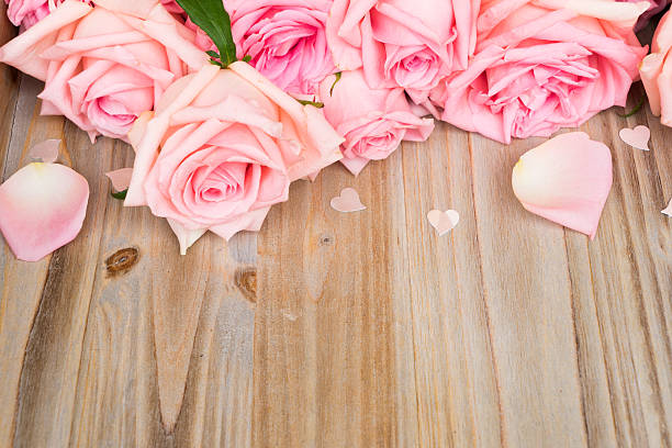 istock Pink blooming roses on wood 624426114
