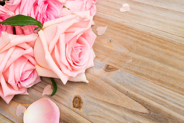 istock Pink blooming roses on wood 624426258