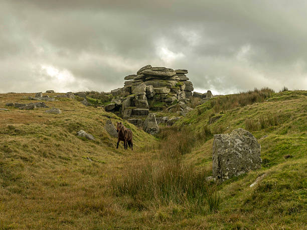 istock Single Dartmoor Pony emerges from Feather Tor gully 624428094