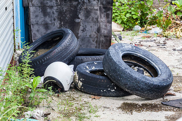 istock Old tire indicating breeding ground for mosquito 624433778