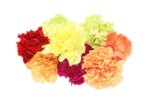 istock Bouquet of carnation 624434598