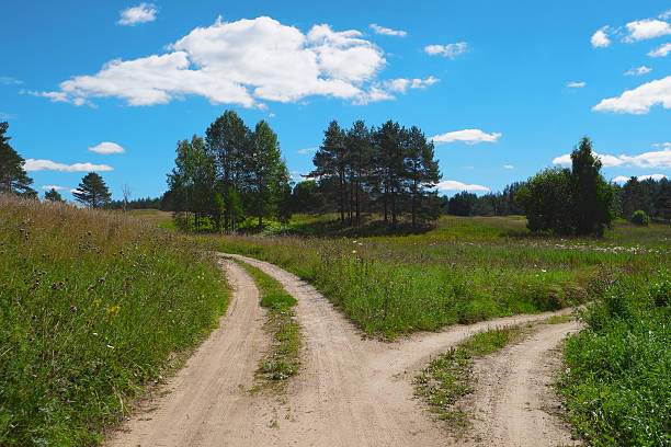 paisaje escénico, dos caminos, elegir camino, camino dividido - ee fotografías e imágenes de stock