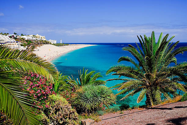 la plage playa de morro jable. fuerteventura, espagne. - aller de photos et images de collection