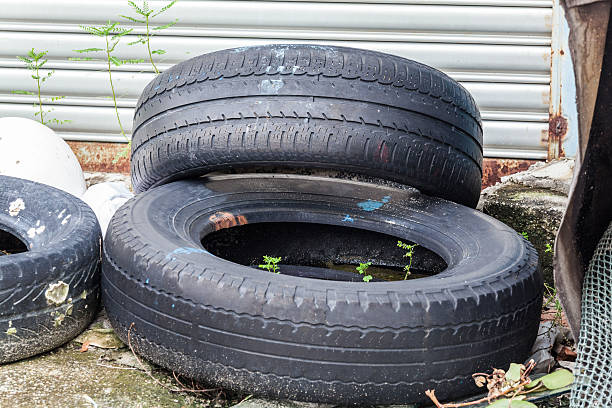 istock Old tire indicating breeding ground for mosquito 624443802