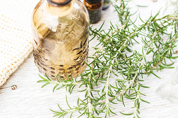 istock Stylish glass bottle and rosemary 624444330