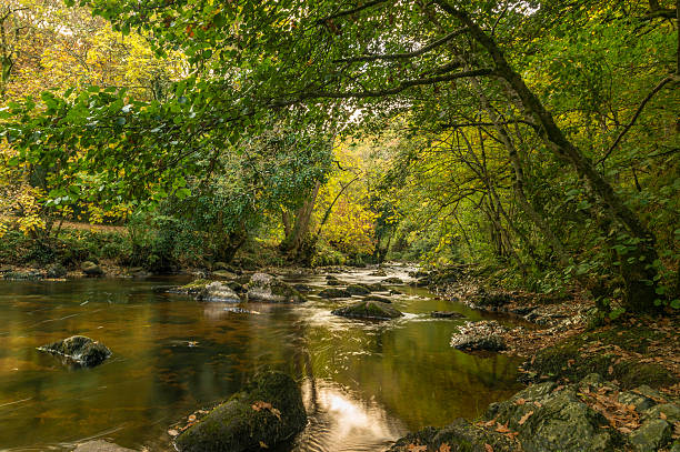 istock Landscape Depicting the River Teign on Dartmoor National Park 624444978
