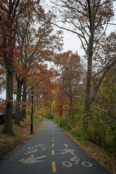 pista ciclabile greenway di new york attraverso fort washington park - nyc greenway foto e immagini stock