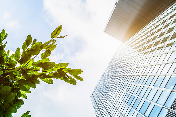 portion of trees against office buildings stock photo