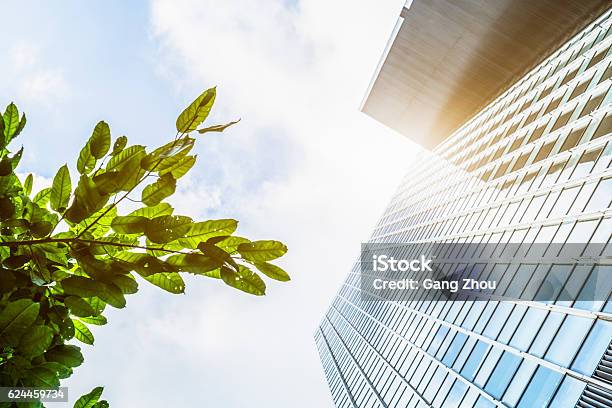 Portion Of Trees Against Office Buildings Stock Photo - Download Image Now - Environment, Construction Industry, Futuristic