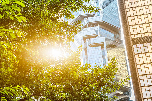 istock portion of trees against office buildings 624459872