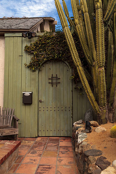 istock Green wooden door with a cactus 624459976