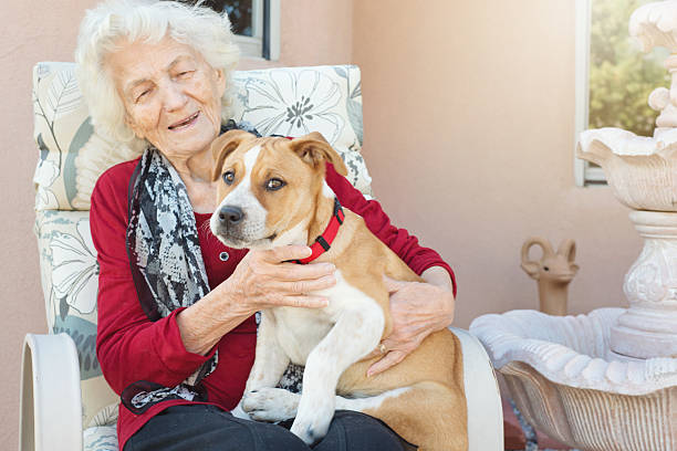 istock Senior Woman Loving Dog 624474152