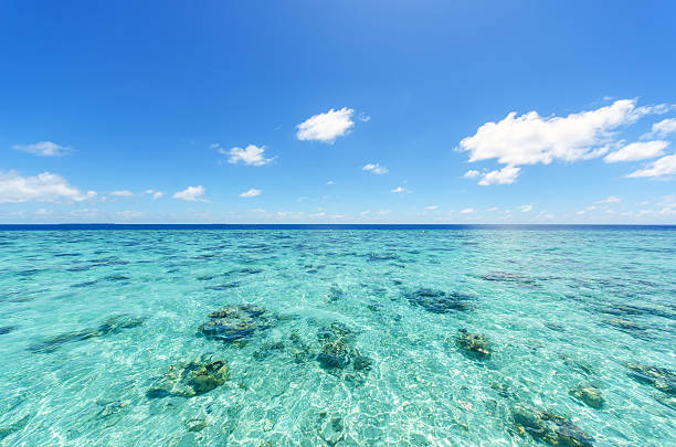 istock Green tropical lagoon and blue sky background 624474664
