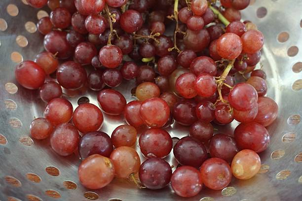 istock group of purple grape 624476210