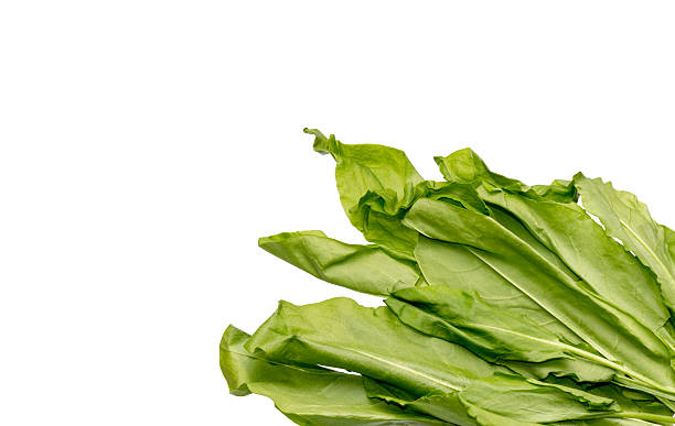 istock Bunch of green sorrel 624476796