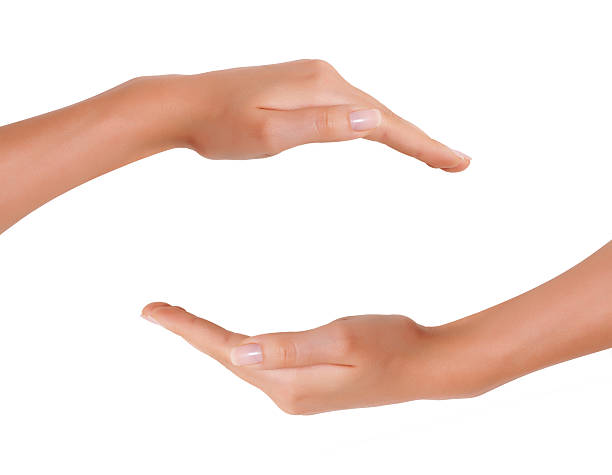 istock Empty Hands of Young Woman, Protection Concept,  on white Backgr 624477016