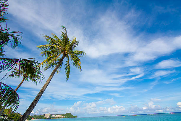 istock Sky of the tropics 624477242