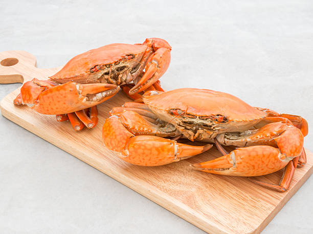 istock Steamed crab on background, seafood 624489662