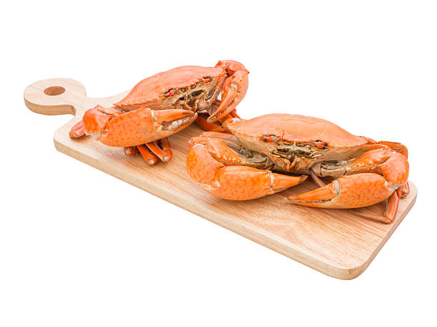 istock Steamed crab on background, seafood 624489688