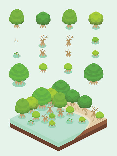 Video Game-Type Isometric Mangrove Set Mangrove tree and it's stage set for video game-type isometric mangrove forest scene. brackish water stock illustrations