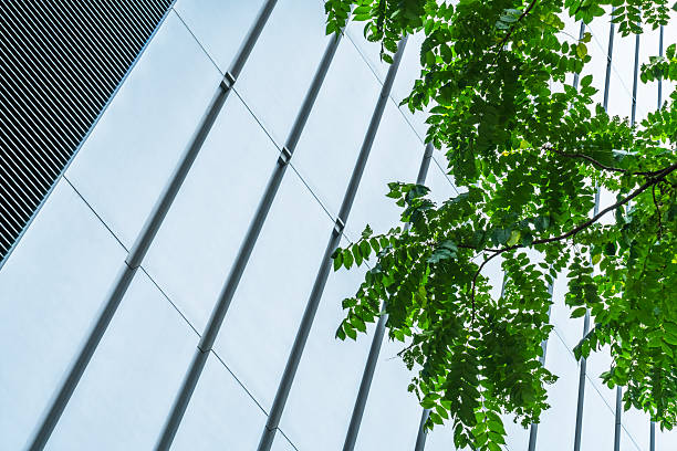 istock portion of trees against office building 624491690