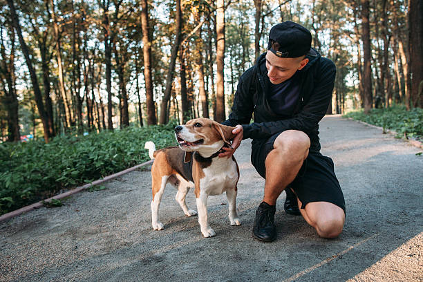 młody człowiek bawi się ze swoim psem w lesie - action dog outdoors animal trainer zdjęcia i obrazy z banku zdjęć