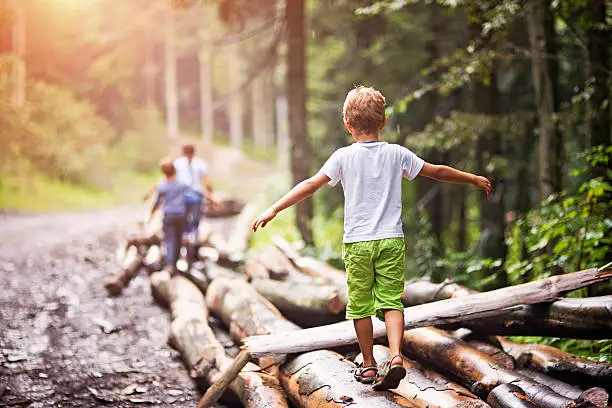 Little hikers walking on a tree trunks in a forest.