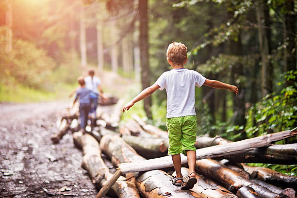 children balancing on tree trunks - recreational pursuit carefree nature vacations imagens e fotografias de stock
